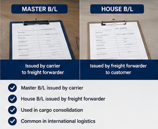 Сравнение Master Bill of Lading и House Bill of Lading в экспедировании